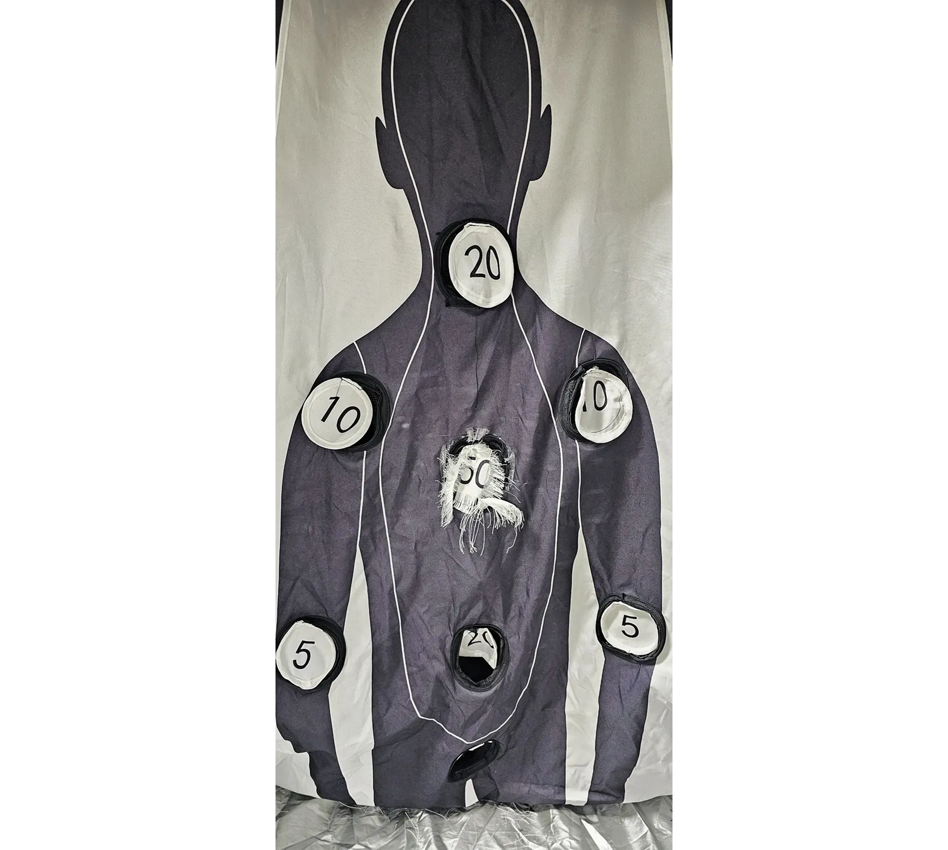 Shooting target with numbered point zones.